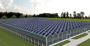 Photovoltaic panels greenhouse