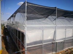 Continuous Greenhouse
